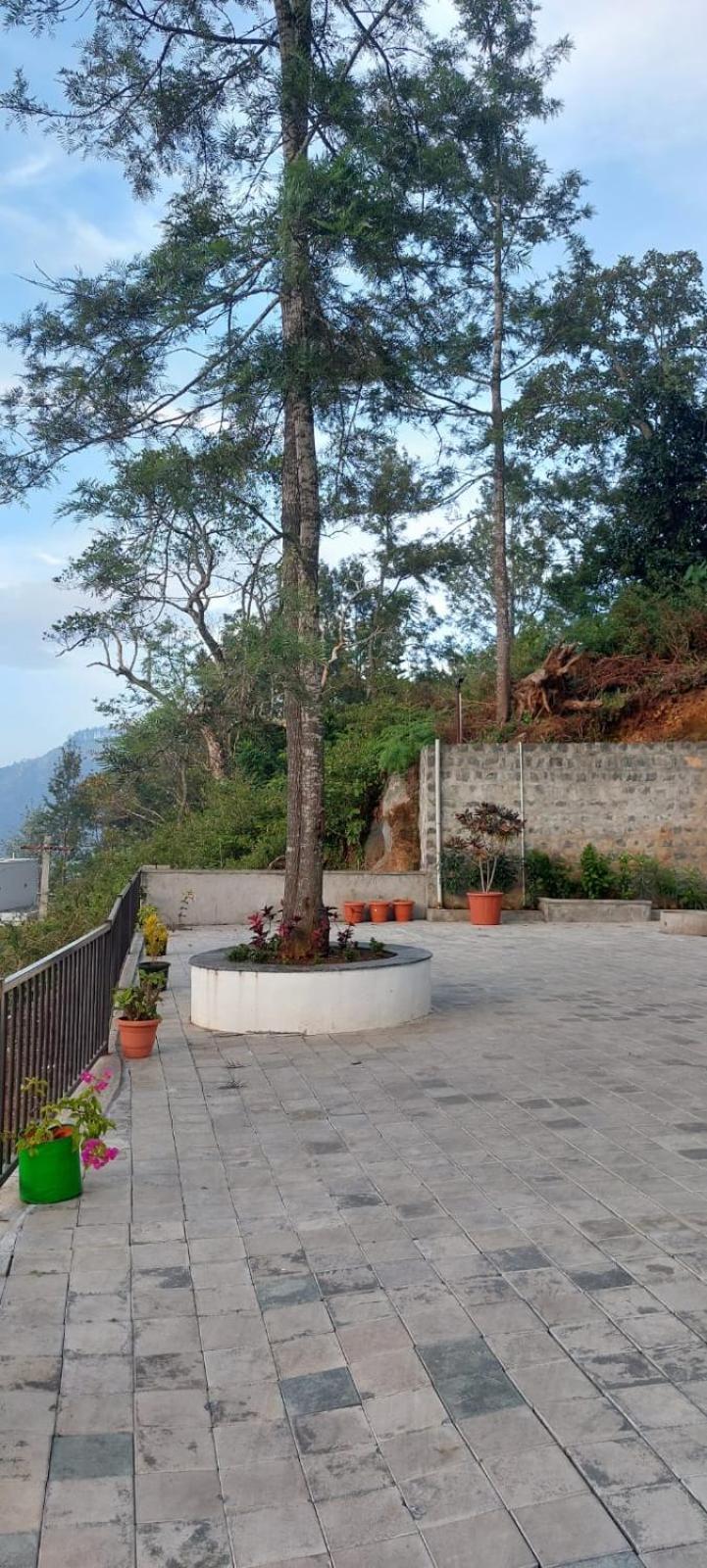 Hilltop In Greany Meadows Yercaud Exterior foto